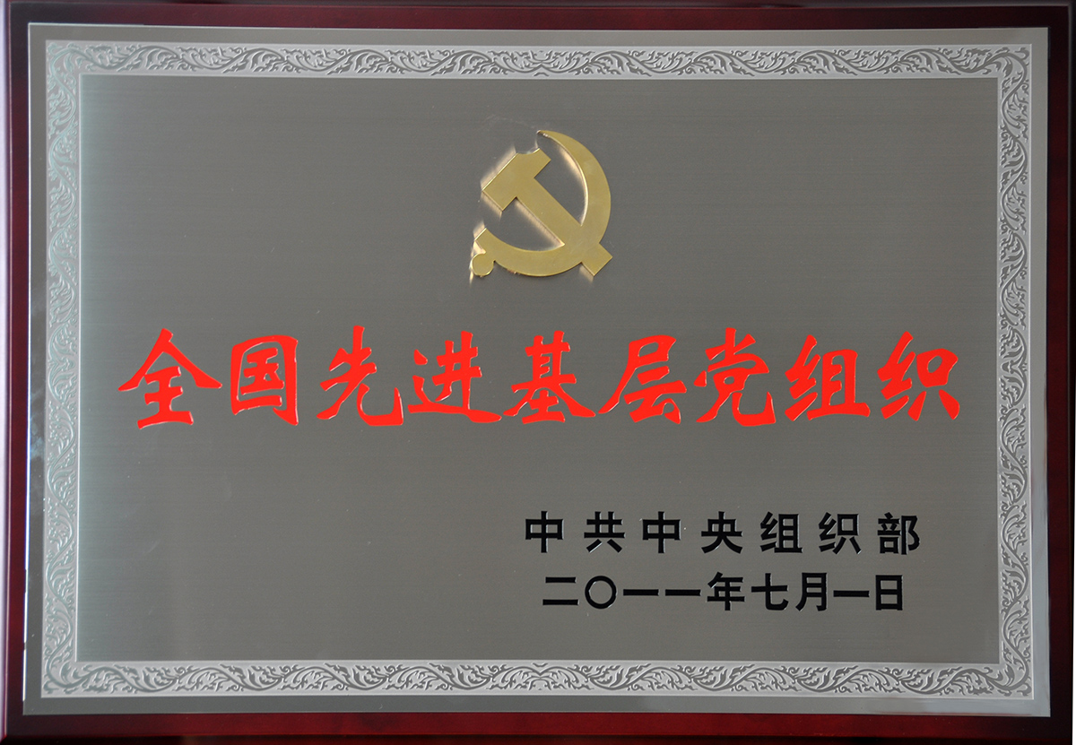 2011年7月，红豆集团党委荣获“全国先进基层党组织”称号